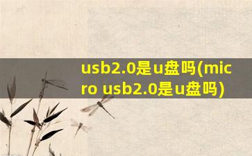 usb2.0是u盘吗(micro usb2.0是u盘吗)